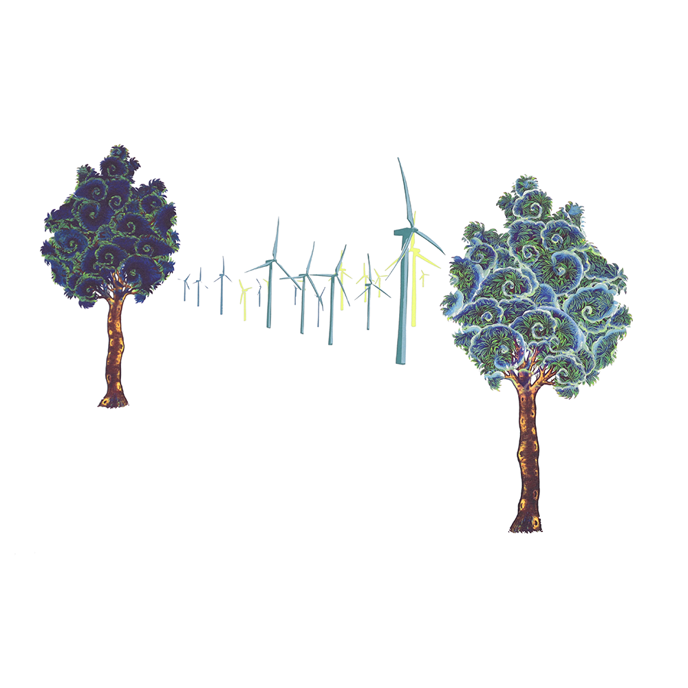 Vista